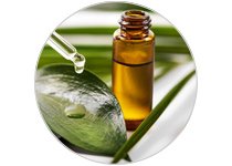 Aceites Esenciales y Aromaterapia